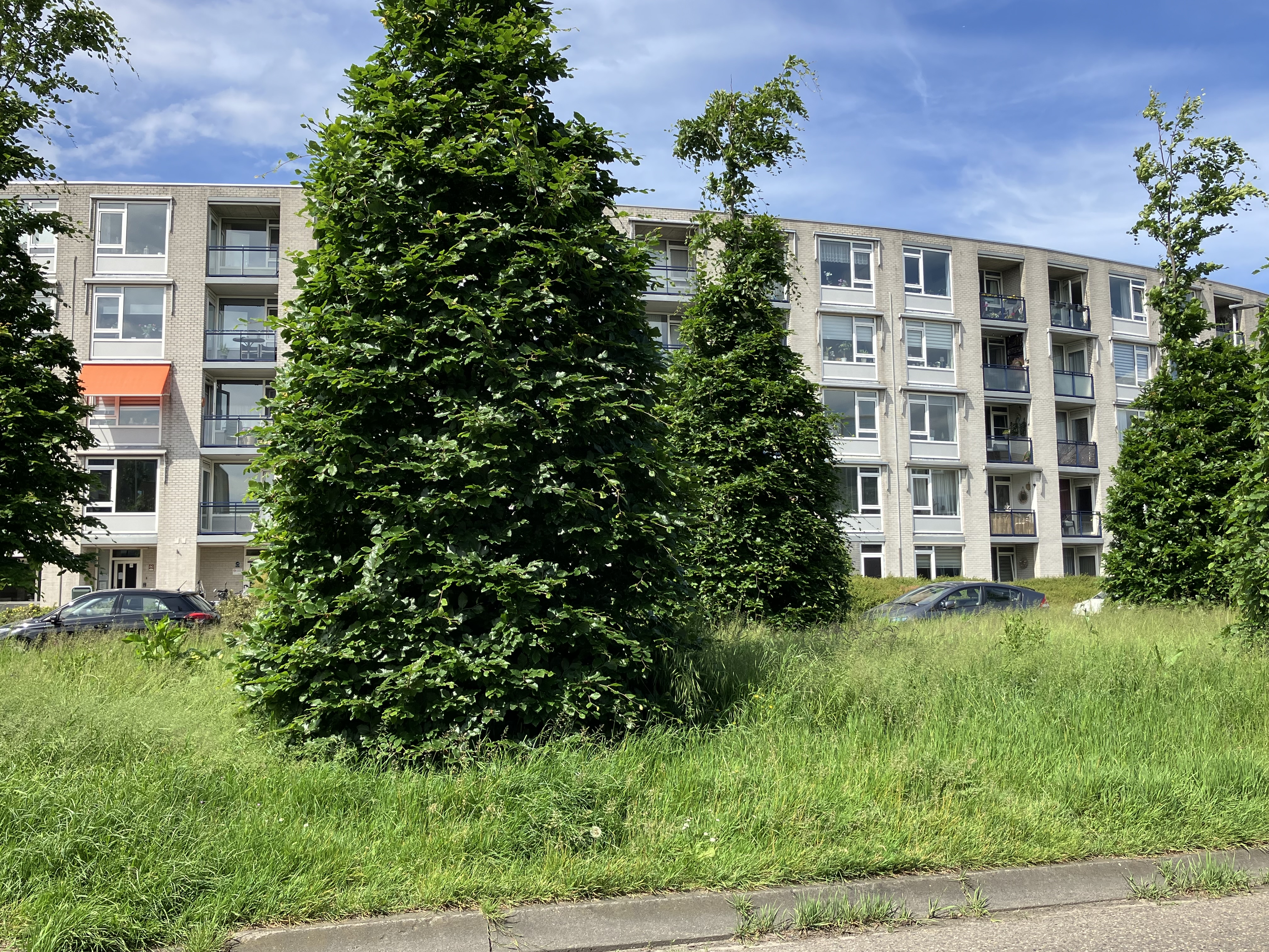 For rent: Leiden