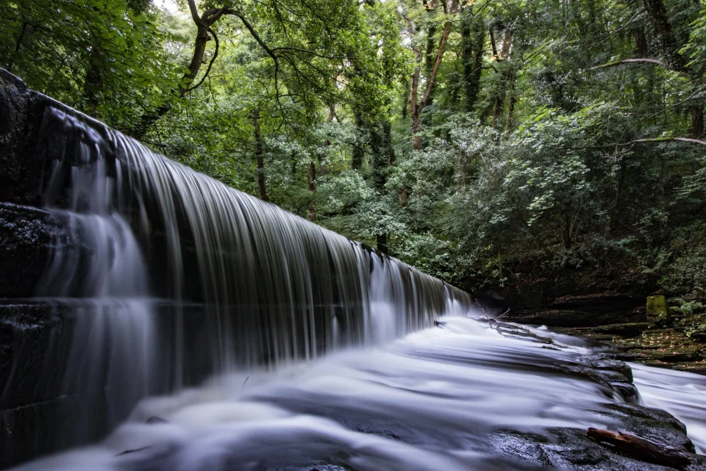 River+Don+-+Gren+Moor+by+Chris+Melladay+UPRIGHT.webp 