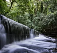 River+Don+-+Gren+Moor+by+Chris+Melladay+UPRIGHT.webp