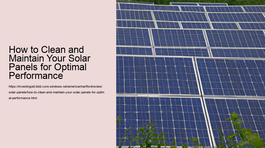 How to Clean and Maintain Your Solar Panels for Optimal Performance