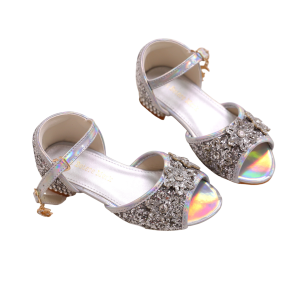 Prinsessenschoenen Zilver