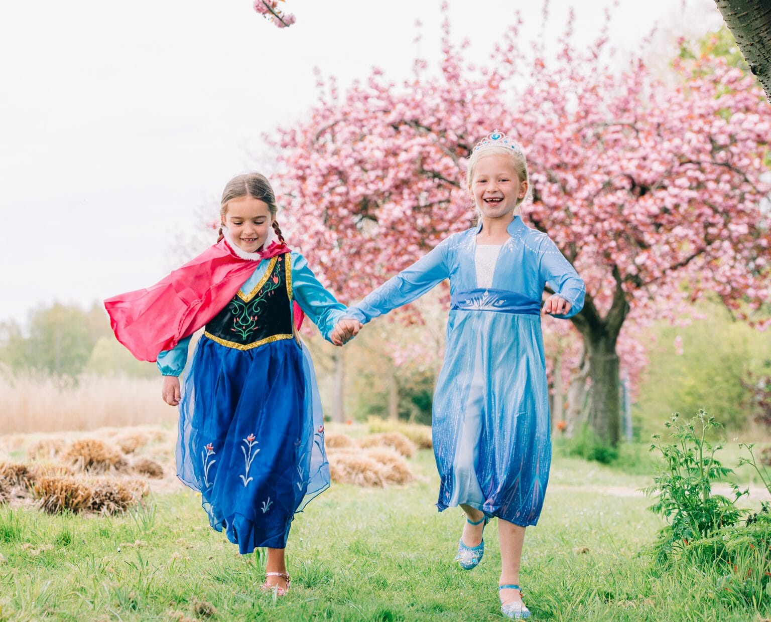 Frozen Anna en Elsa jurk