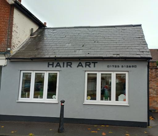 Hair Art