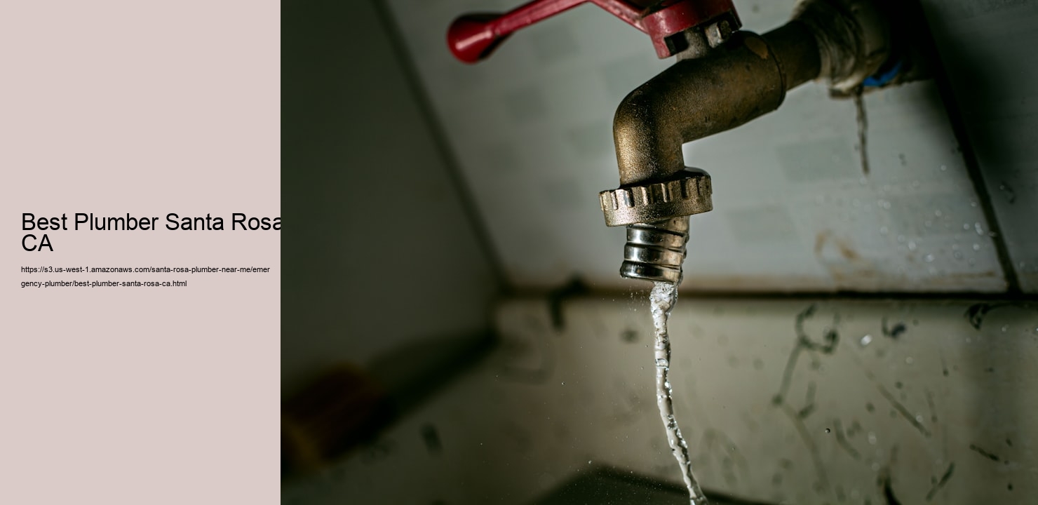 Best Plumber Santa Rosa CA  