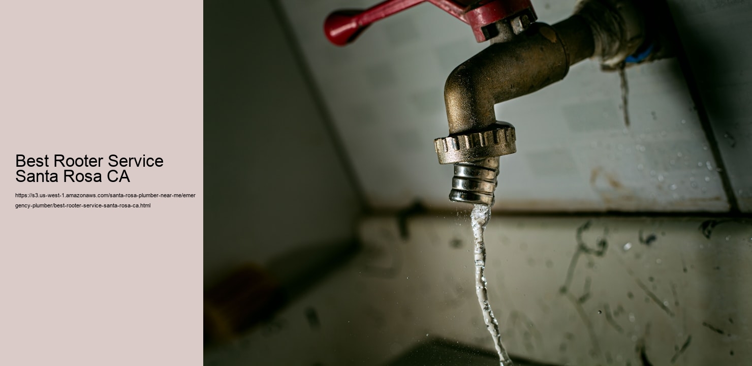 Best Rooter Service Santa Rosa CA  