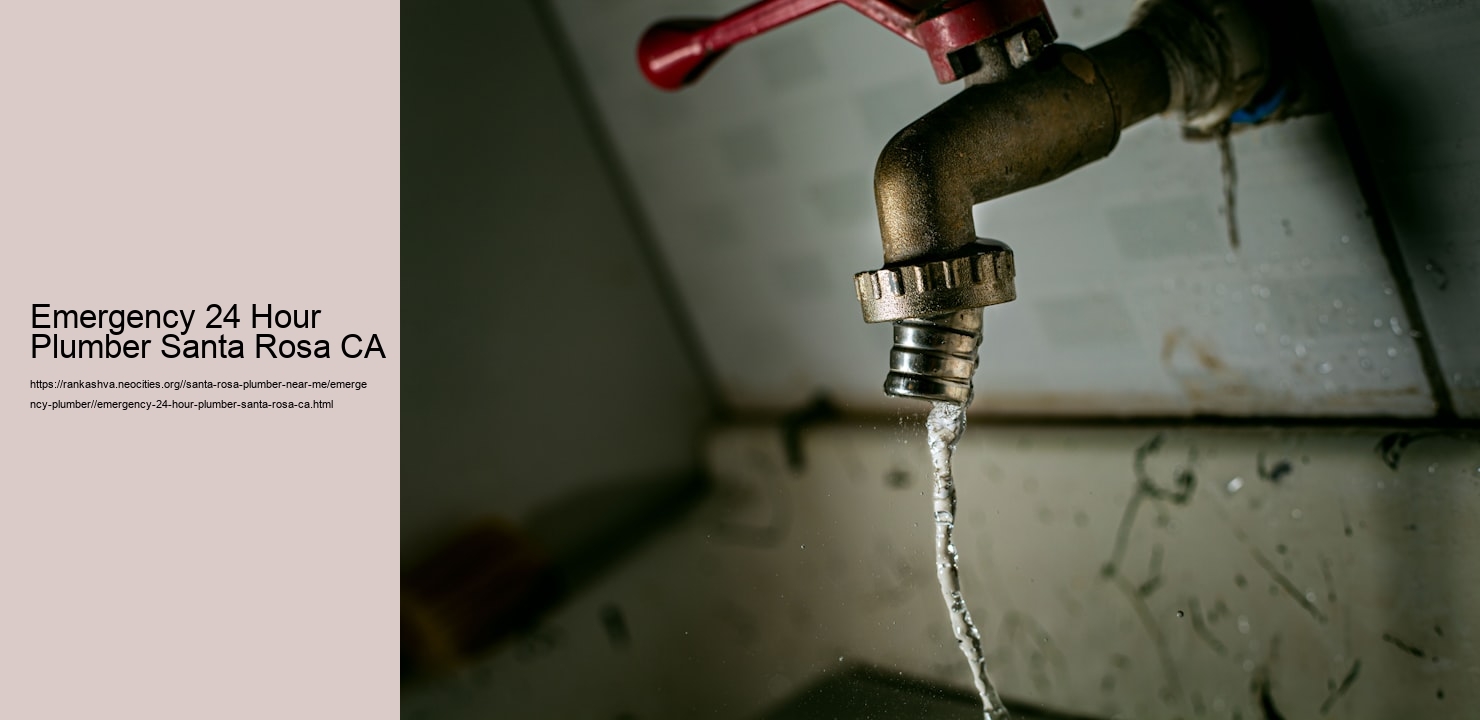 Emergency 24 Hour Plumber Santa Rosa CA  