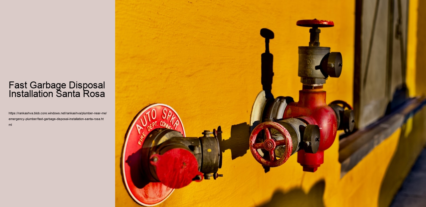 Fast Garbage Disposal Installation Santa Rosa  