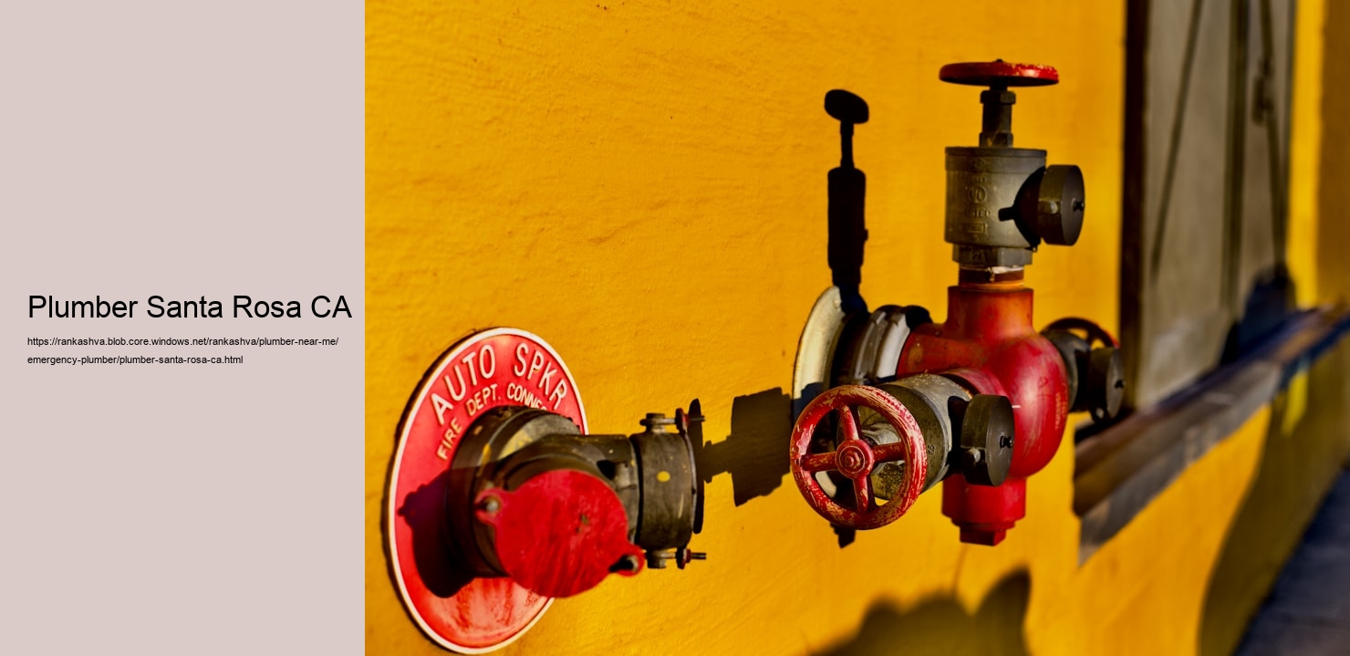 Plumber Santa Rosa CA  