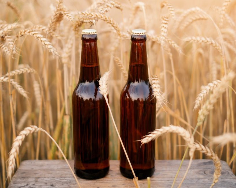 bottles of dark beer standing in a field