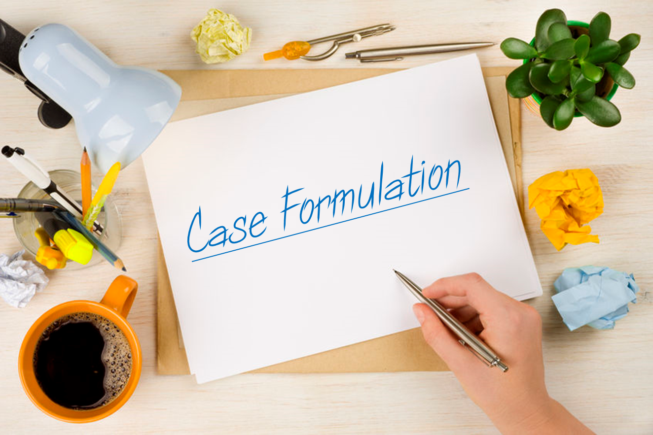 case-formulations-sds-seminars-ltd