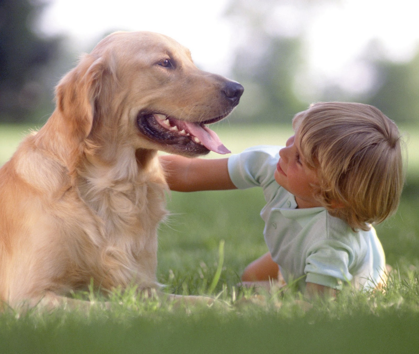 Kind pets. Домашние животные для детей. Общение с животными для детей. Собака для детей. Дети с животными.