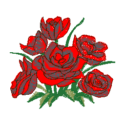 auto-preview-emb