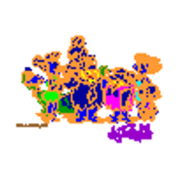 auto-preview-emb