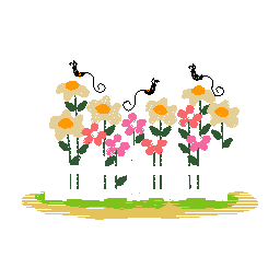 auto-preview-emb