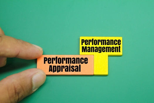 Skhokho Performance Management System Tool