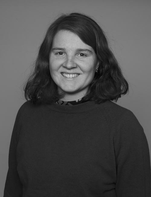Birgit Djupedal