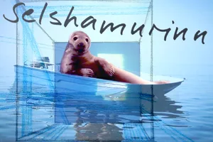 Selshamurinn
