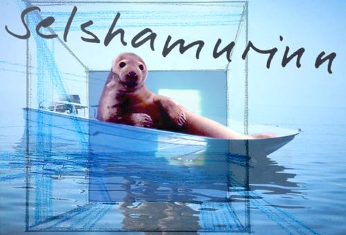 Sealskin