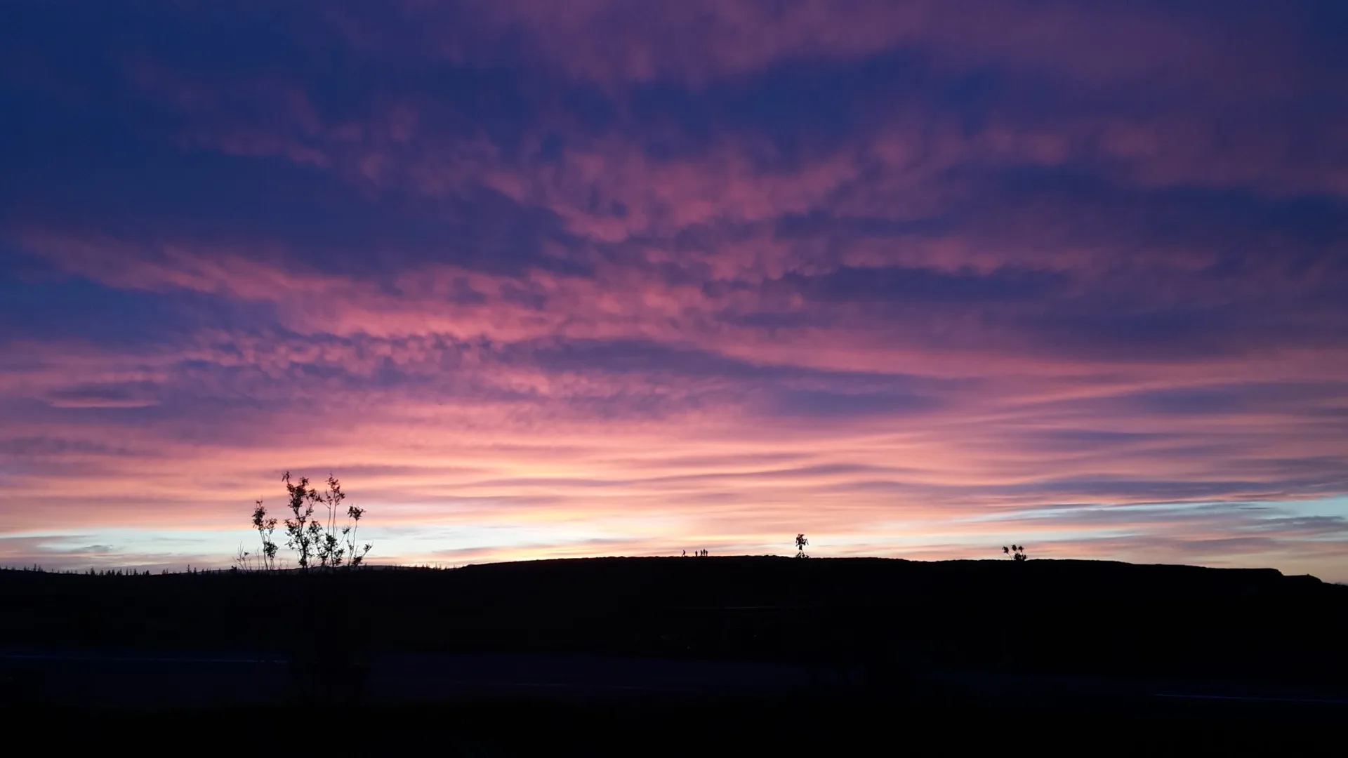 Dreymi þig ljósið