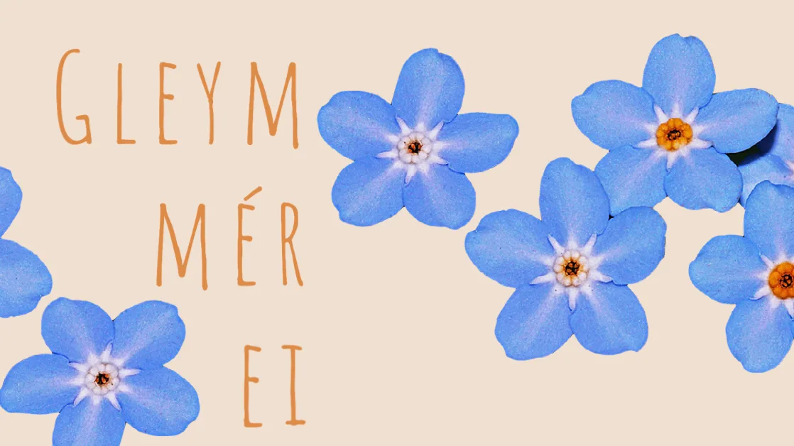 Gleym-mér-ei