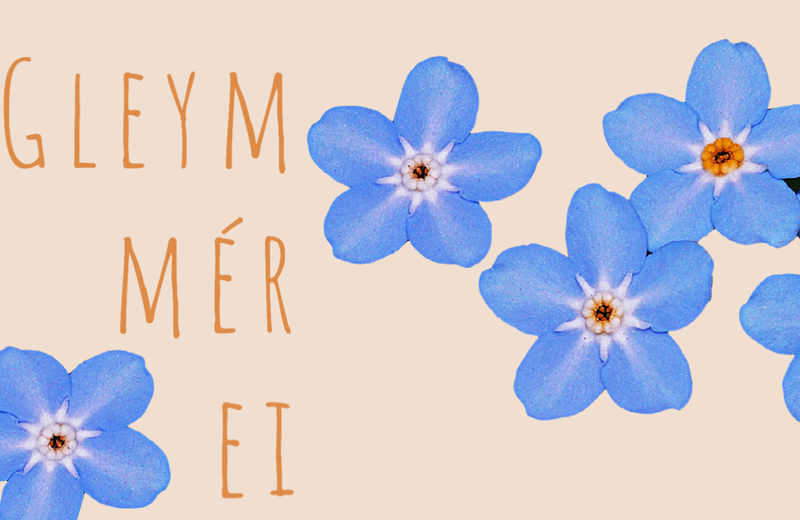 Gleym-mér-ei
