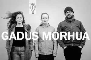 GADUS MORHUA - þjóðlaga-usla-sveit