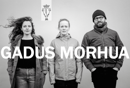 GADUS MORHUA