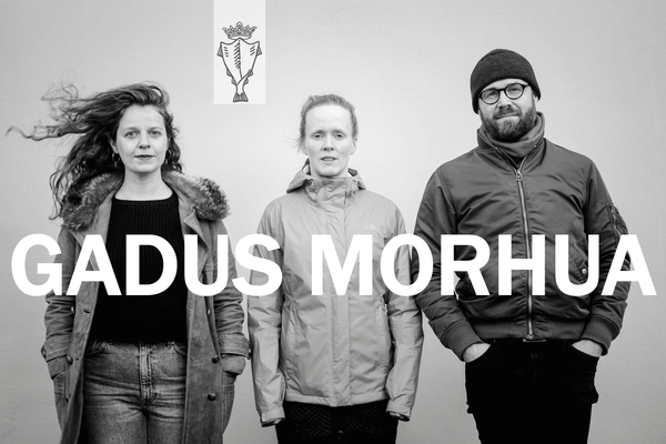 GADUS MORHUA - þjóðlaga-usla-sveit