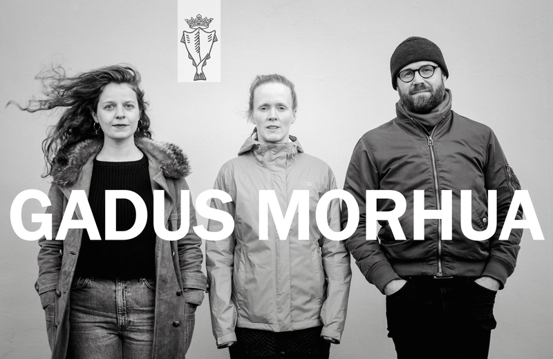 GADUS MORHUA - þjóðlaga-usla-sveit