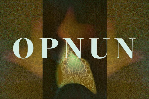 OPNUN ÓPERUDAGA