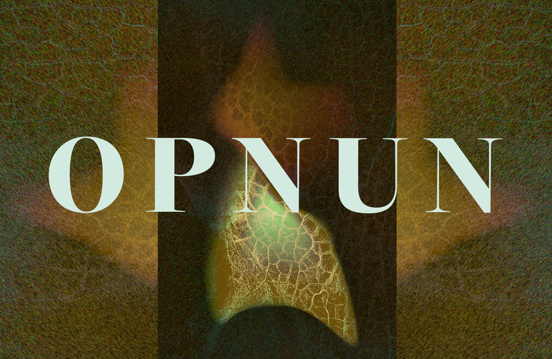 OPNUN ÓPERUDAGA