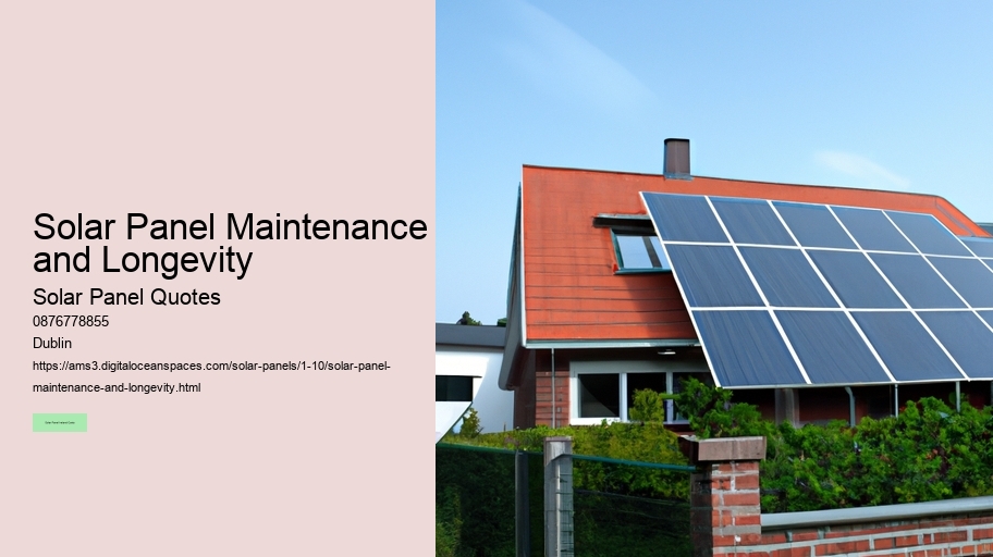 Solar Panel Maintenance and Longevity