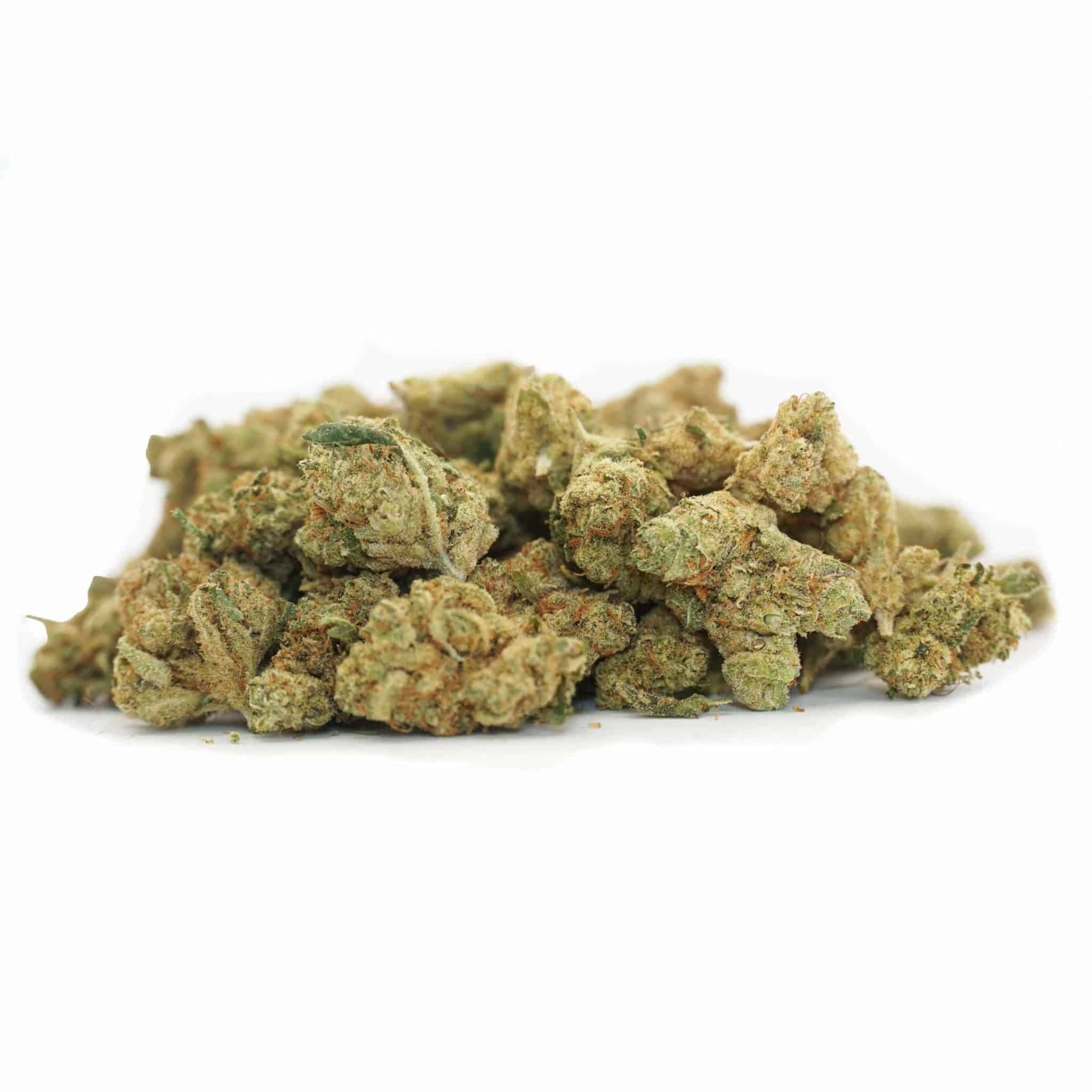 Mini Buds Indoor - Amnesia Hy Pro - 20gr