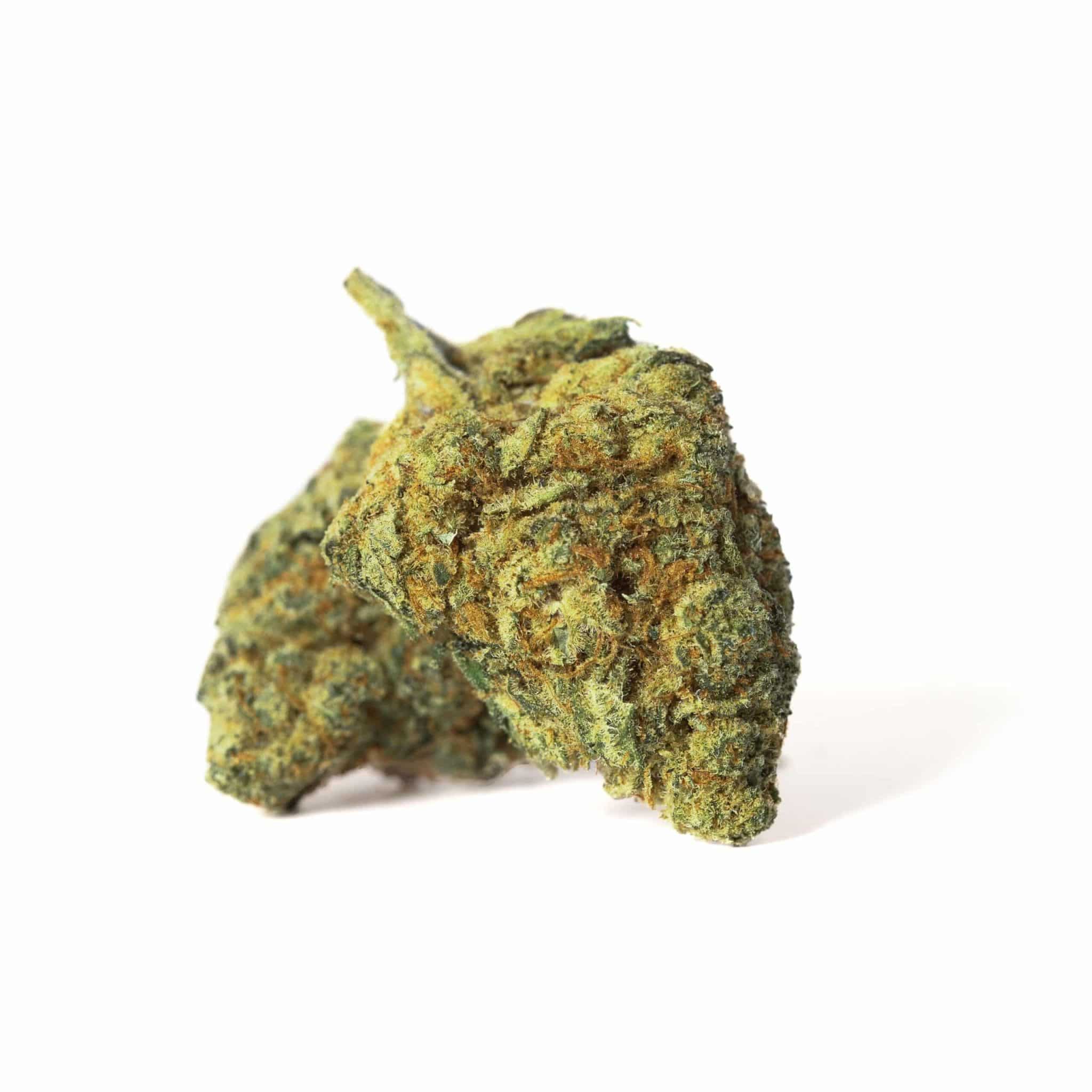 AMNESIA HY PRO CBD "HIDROPÓNICA INDOOR"