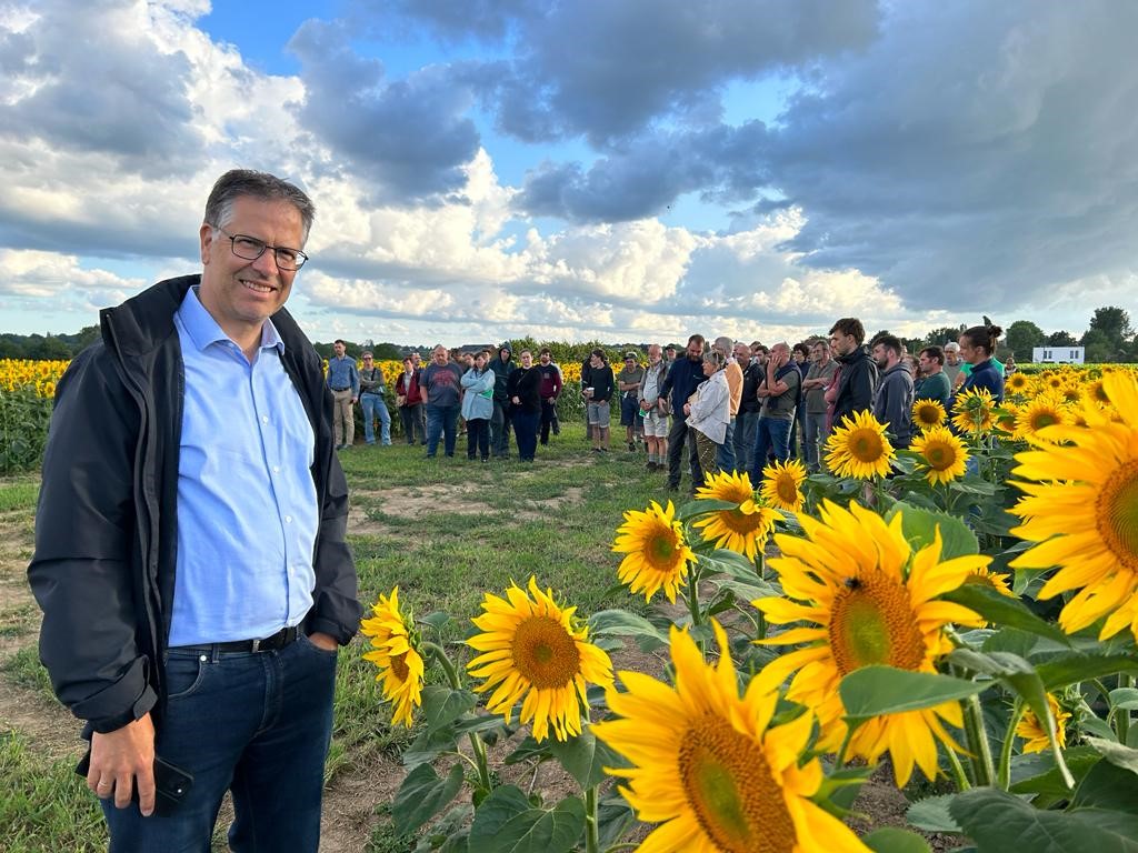 Genieten van een zonnebloemenzee in Vlaams-Brabant
