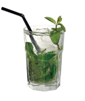 Virgin Mojito