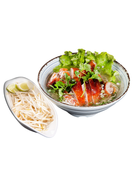 soupe de nouilles au canard