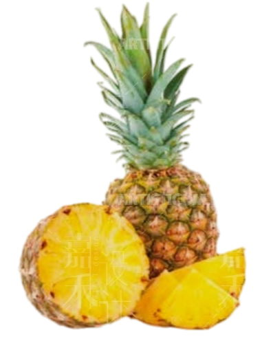 D4 鲜菠萝