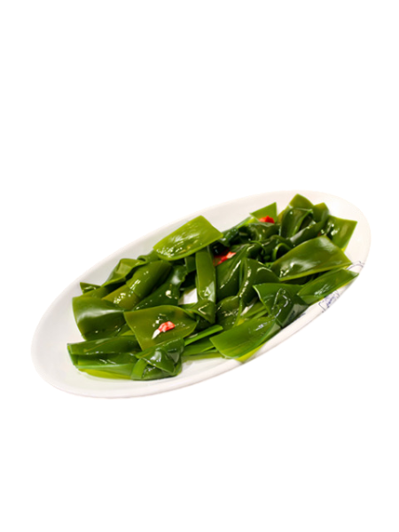 Alga Seaweed