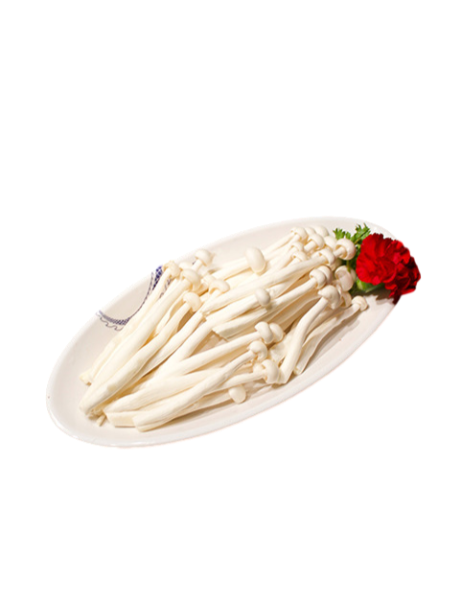 Seta shimeji blanca
