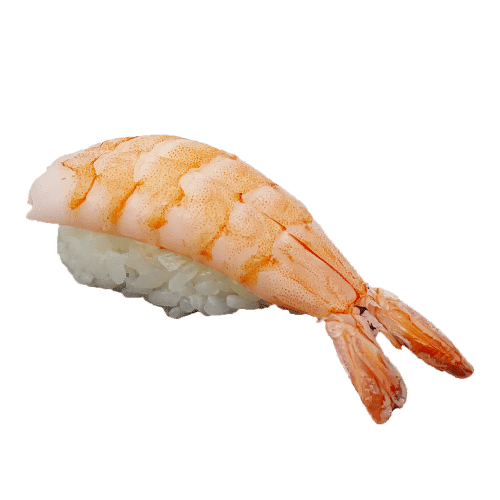 Ebi Nigiri Garnele (1 Stück)