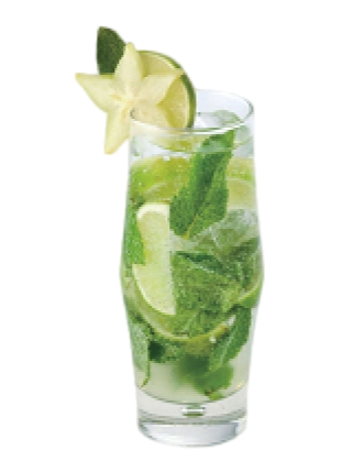 VIRGIN MOJITO (10CL)