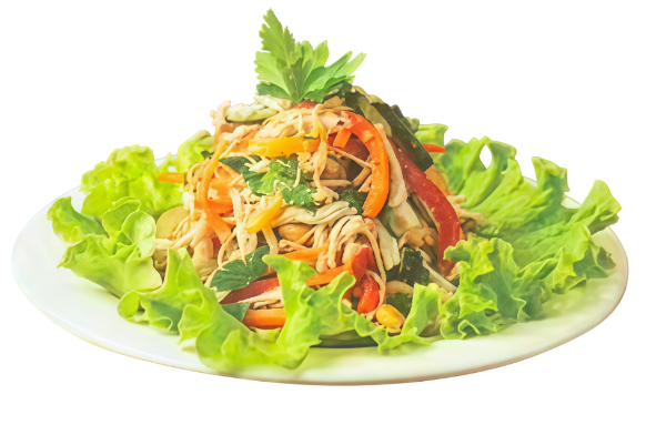 E9. Salade vietnamienne au poulet