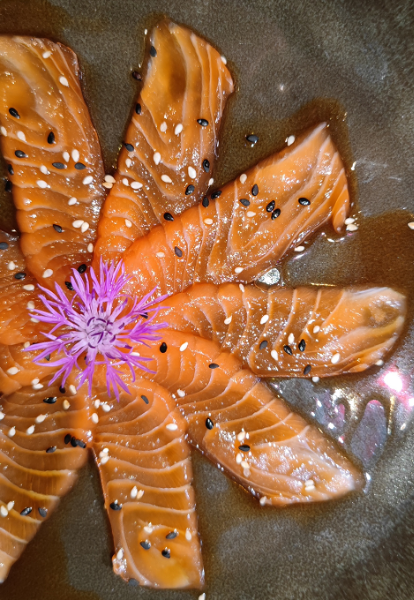 016. CARPACCIO DI SALMONE