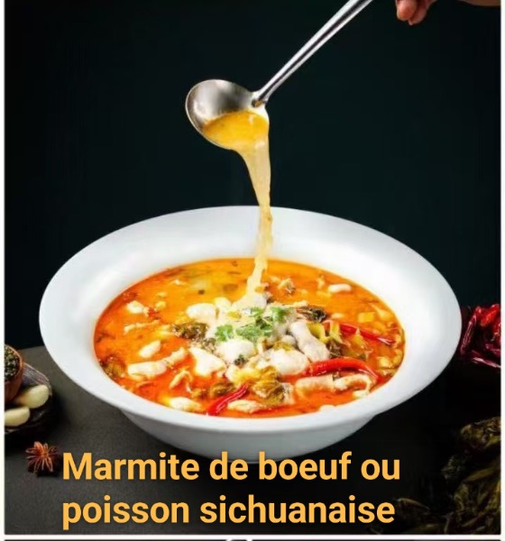 48. Marmite de boeuf sichuanaise