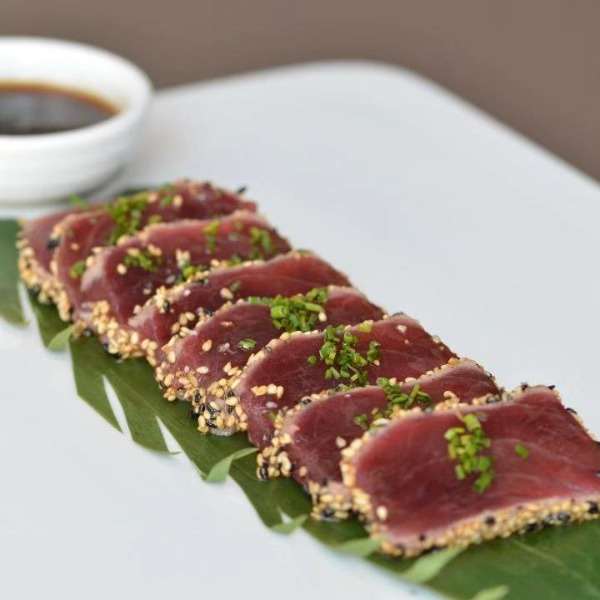 Tataki maguro