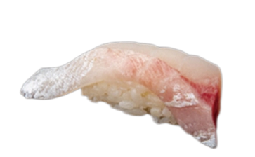 304. NIGIRI SUZUKI