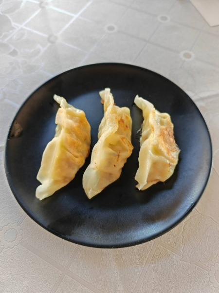 8. Gyoza chicken 4p