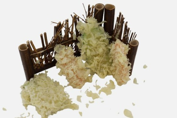 16. Tempura yasai (1)