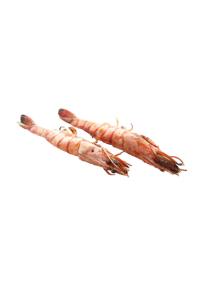 904. Ebiyaki (gambas)